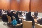 کارگاه سواد رسانه مقدماتی ویژه خواهران در دانشگاه برگزار شد