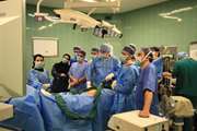 برگزاری کارگاه آموزشی لاپاراسکوپی Hernia Inguinal در بیمارستان سینا 