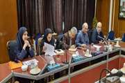 نشست هم اندیشی مدیر فناوری اطلاعات دانشگاه علوم پزشکی تهران با مسئولان بیمارستان سینا