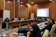 هم‌اندیشی استادان با موضوع «زنان در نقش‌های خانوادگی و اجتماعی: تعادل یا تقابل» برگزار شد