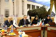 دومین نشست کمیته اقتصاد درمان، دارو و تجهیزات پزشکی استان تهران برگزار شد
