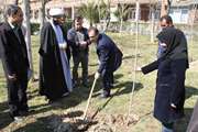 کاشت 100 اصله نهال به مناسبت روز درختکاری