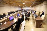 کارگاه راه‌اندازی ثبت بیماری‌ها و پیامدهای سلامت برگزار شد