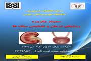 سمینار یکروزه روش های درمان و تشخیص سنگ ها برگزار می شود