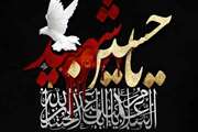 السلام علیک یا اباعبدالله و علی الارواح التی حلت بفنائک...