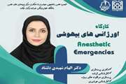 کارگاه اورژانس بیهوشی ویژه دانشجویان برگزار می شود