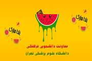 مراسم راه اندازی مجله صوتی تصویری معاونت دانشجویی فرهنگی در دورهمی مجازی شب یلدا، همزمان با روز پرستار برگزار شد