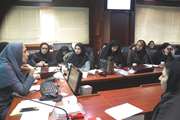 برگزاری اولین کارگاه دستورالعمل کشوری ارائه خدمات مراقبت باروری در شهرستان اسلامشهر