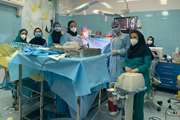 انجام موفقیت آمیز دو عمل پیوند کبد از یک دهنده مرگ مغزی در مجتمع بیمارستانی امام خمینی (ره) در بحران کرونا