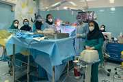 انجام موفقیت آمیز دو پیوند کبد از یک دهنده مرگ مغزی در مجتمع بیمارستانی امام خمینی (ره)