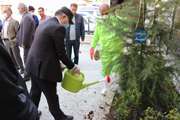 کاشت یک اصله نهال توسط شهردار منطقه ۱۷ و مشاور رئیس بیمارستان ضیائیان هم‌زمان با آغاز هفته منابع طبیعی