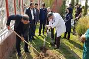 دکتر پورحسینی رئیس مرکز قلب تهران یک اصله نهال به مناسبت روز درختکاری غرس کرد