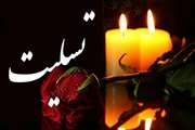 پیام تسلیت رئیس مجتمع بیمارستانی امام خمینی (ره) به مناسبت درگذشت دکتر عباس نوروزی استاد فیزیولوژی دانشگاه و معاون پشتیبانی پژوهشکده علوم اعصاب 