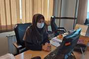 چهاردهمین جلسه آموزش مجازی رابطین منتخب پروژه  ECD در شهرستان اسلامشهر