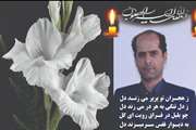 پیام تسلیت مدیر شبکه بهداشت و درمان اسلامشهر به مناسبت درگذشت شاهین تقی پور، کارشناس علوم آزمایشگاه