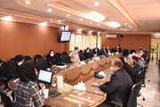 برگزاری جلسه کمیته کنترل بیماری های مشترک بین انسان و حیوان در شبکه بهداشت شهرستان ری