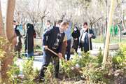 کاشت 20 نهال به مناسبت روز درختکاری در دانشکده پرستاری و مامایی