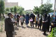 آموزش کاشت بذر برای زنان روستایی در مرکز بهداشت جنوب تهران آغاز شد