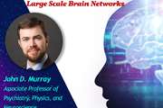 وبینار “Large-Scale Brain Networks” توسط دانشکده فناوری های نوین پزشکی برگزار می شود