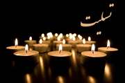پیام تسلیت رئیس دانشگاه به مناسبت سالگرد درگذشت جمعی از هموطنان در سانحه هواپیمای اوکراین 