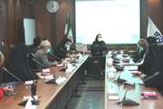 برگزاری جلسه کمیته بین بخشی پیشگیری از خودکشی در شهرستان اسلامشهر