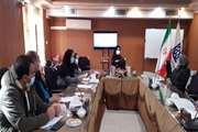 جلسه کمیته زئونوس شبکه بهداشت شهرستان ری تشکیل شد