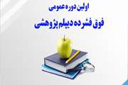 برگزاری وبینار معرفی برنامه دیپلم پژوهشی 