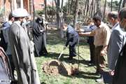 کاشت چند اصله نهال و تقدیر از کارکنان شاغل در واحد باغبانی دانشکده پرستاری و مامایی به مناسبت روز درختکاری