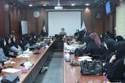 برگزاری جلسه آموزشی شیر مادر و ایکتر(زردی نوزادان) در شبکه بهداشت و درمان اسلامشهر