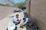 کشف و معدوم سازی اسانس و رنگ های صنعتی در کارگاه غیرمجاز در شهرستان اسلامشهر