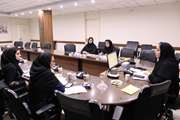 نشست کارشناسان برنامه سلامت مادران ستادی و شبکه‌های تحت پوشش در معاونت بهداشت دانشگاه علوم پزشکی تهران 
