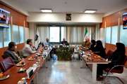 جلسه شورای مدیران معاونت توسعه دانشگاه علوم پزشکی تهران با حضور دکتر رامین رحیم نیا برگزار شد