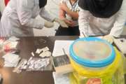 نمونه‌گیری لام مالاریا از کودکان کار در مرکز بهداشت جنوب تهران
