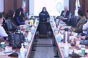 برگزاری کارگاه خودمراقبتی سازمانی ویژه ادارات و سازمان‌های دولتی در شهرستان اسلامشهر