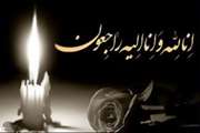 پیام تسلیت رئیس دانشگاه علوم پزشکی تهران در پی درگذشت پدر دکتر محسن نصیری طوسی