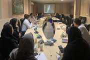 برگزاری ششمین جلسه کمیته برون بخشی پیشگیری از خودکشی در شهرستان اسلامشهر