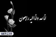 پیام تسلیت رئیس دانشگاه علوم پزشکی تهران به مناسبت درگذشت نابهنگام دکتر امیرعلی سیم فروش 