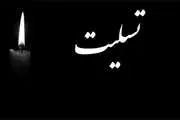 پیام تسلیت رئیس دانشگاه علوم پزشکی تهران درپی درگذشت برادر دکتر احمدعلی نوربالا