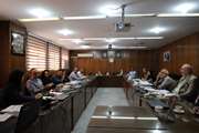 برگزاری نشست شورای تحصیلات تکمیلی دانشکده بهداشت