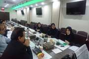 جلسه هماهنگی بین سازمانی معاونت غذا و دارو و معاونت بهداشت دانشگاه علوم پزشکی تهران