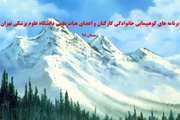 اعلام برنامه های کوهپیمایی کارکنان و اساتید دانشگاه علوم پزشکی تهران در زمستان 98
