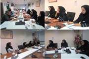 کمیته حفاظت فنی و بهداشت‌کار بیمارستان ضیائیان برگزار شد