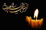 پیام تسلیت رئیس کتابخانه مرکزی به مناسبت درگذشت مهسا اکبرنیای طهرانی