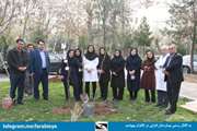 روز درختکاری در بیمارستان فارابی