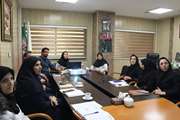 برگزاری جلسه کمیته بهداشت کار، حفاظت فنی و بحران در بیمارستان آرش 