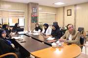 برگزاری جلسه کمیته مدیریت اجرای در بیمارستان جامع بانوان آرش