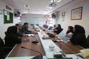 کمیته تغذیه و رژیم درمانی در مرکز آموزشی درمانی ضیائیان برگزارشد