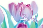  سالروز پیوند آسمانی امیرمومنان حضرت علی(ع) و صدیقه کبری حضرت فاطمه زهرا(س) تهنیت باد