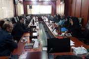 برگزاری کمیته شهرستانی مرگ کودکان 59-1 ماهه شبکه بهداشت و درمان اسلامشهر