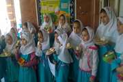 برگزاری جشنواره تخم‌مرغ در مدارس شهرستان ری